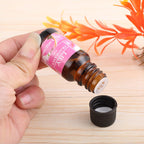Violet Aromatherapy essential oil humidifier